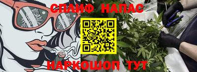 прущие грибы Апшеронск