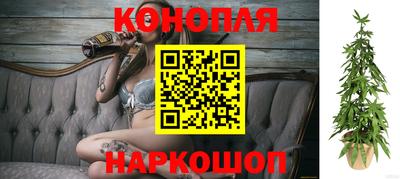 прущие грибы Апшеронск