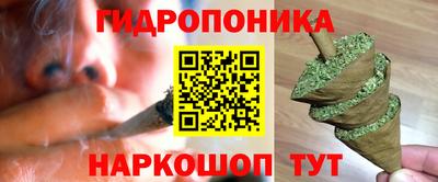 прущие грибы Апшеронск