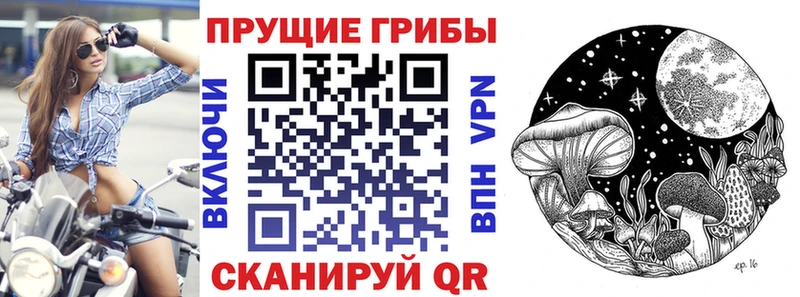 Галлюциногенные грибы GOLDEN TEACHER  Острогожск 