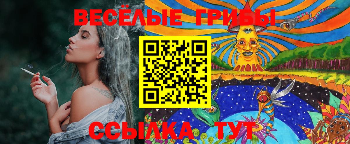 Псилоцибиновые грибы Psilocybe Острогожск