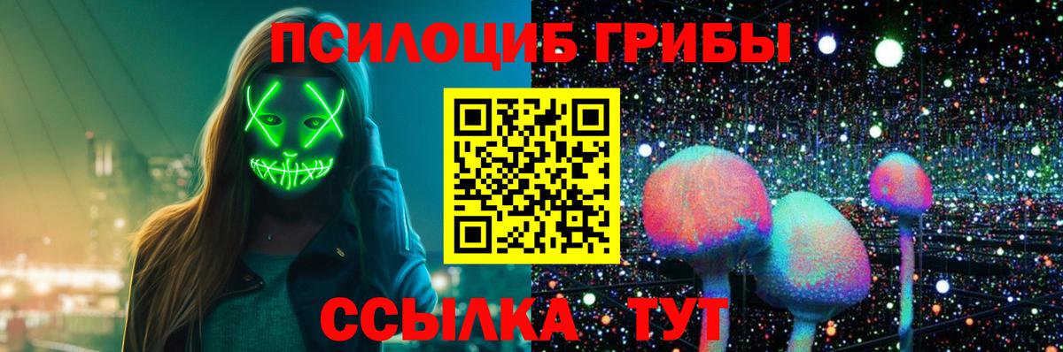 Галлюциногенные грибы прущие грибы Острогожск