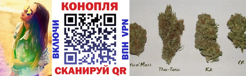 купить закладку  Острогожск  Шишки марихуана план 