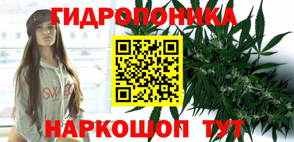 Шишки марихуана марихуана  Конопля гибрид  Марихуана план  Вход с VPN  Острогожск  Бошки марихуана MAZAR 